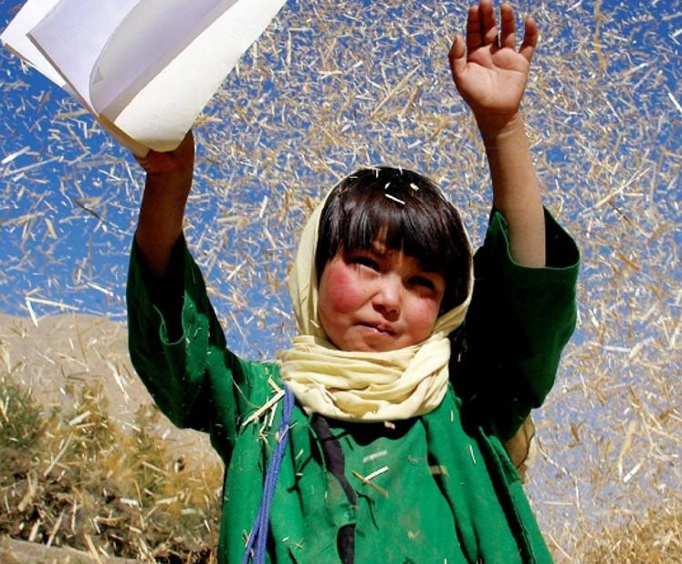 Buda explotó por vergüenza: cuando los derechos de los niños no importan