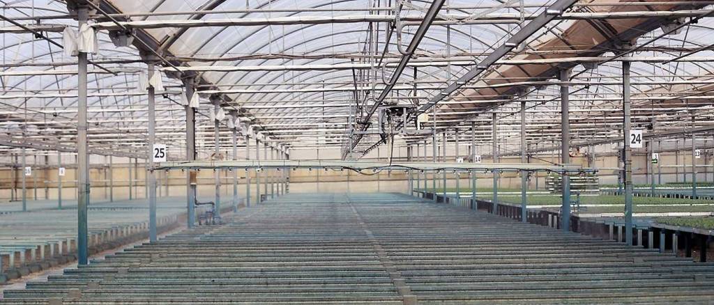 Aquí se inventan los invernaderos del&nbsp;futuro