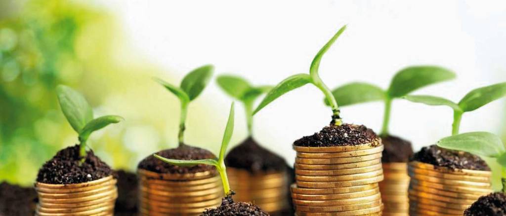 A la vanguardia en&nbsp;bioeconomía