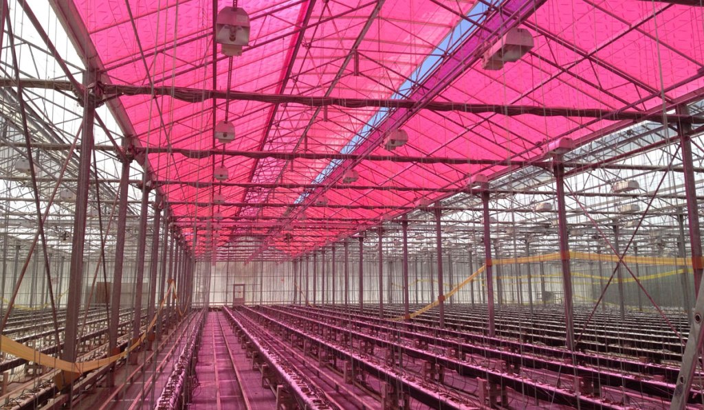 Invernadero solar: el futuro de la&nbsp;agroindustria