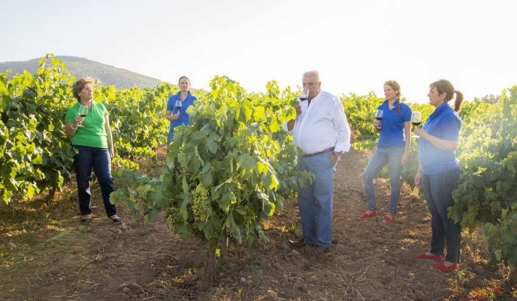 Una vida dedicada al vino