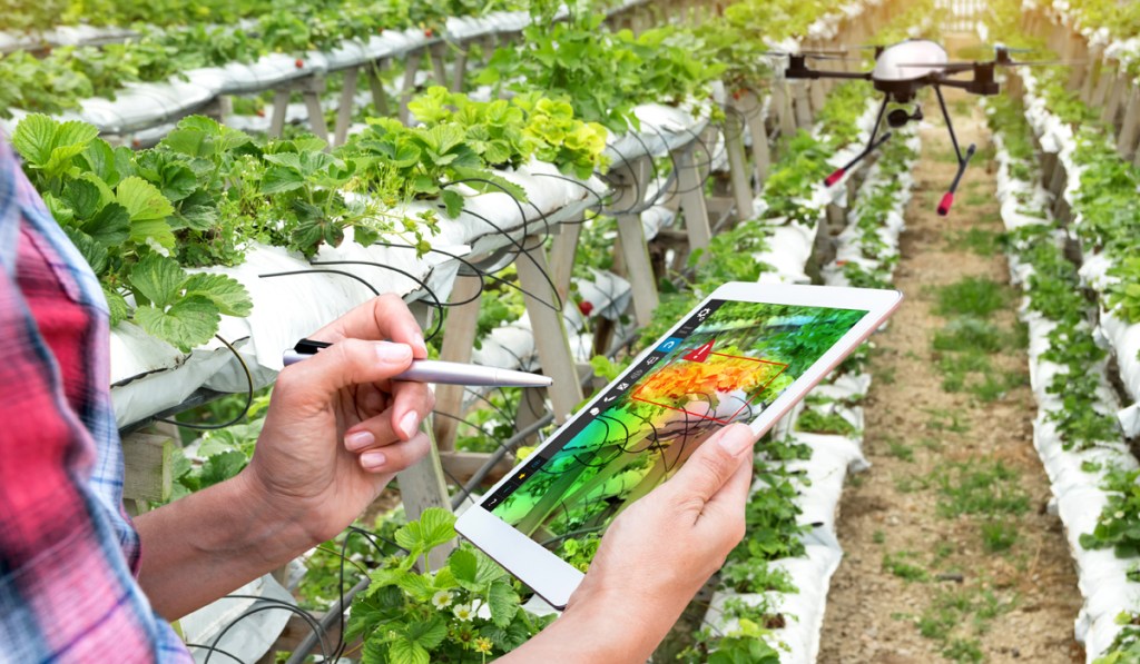 SOS, al rescate de la&nbsp;agricultura