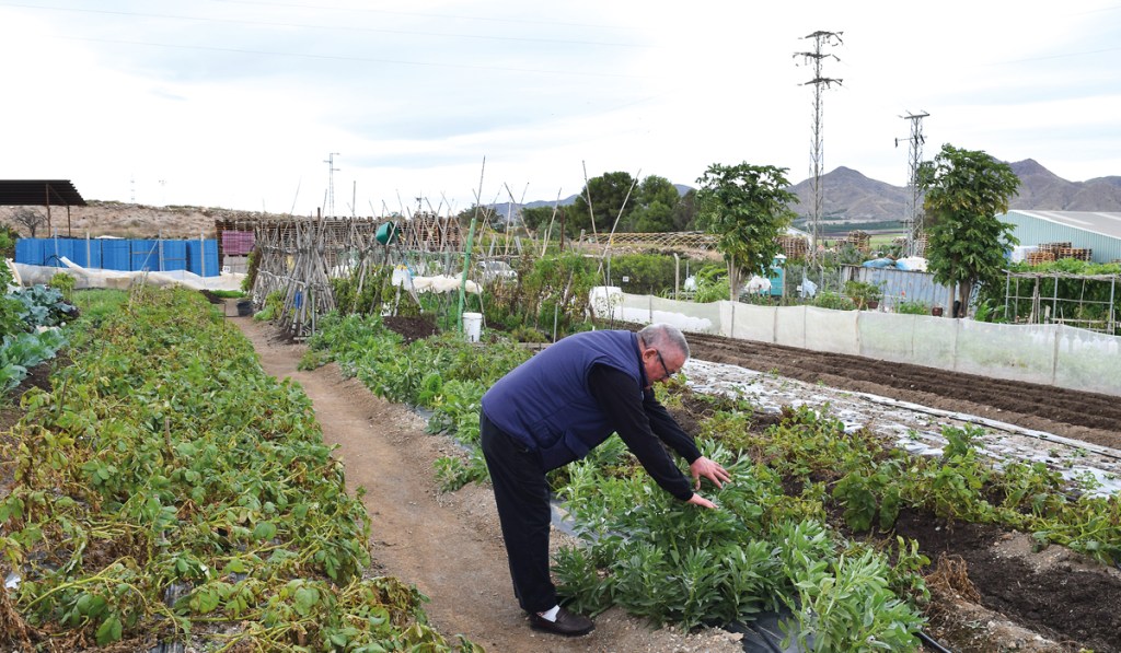 Huertos de Pulpí que salvan&nbsp;vidas