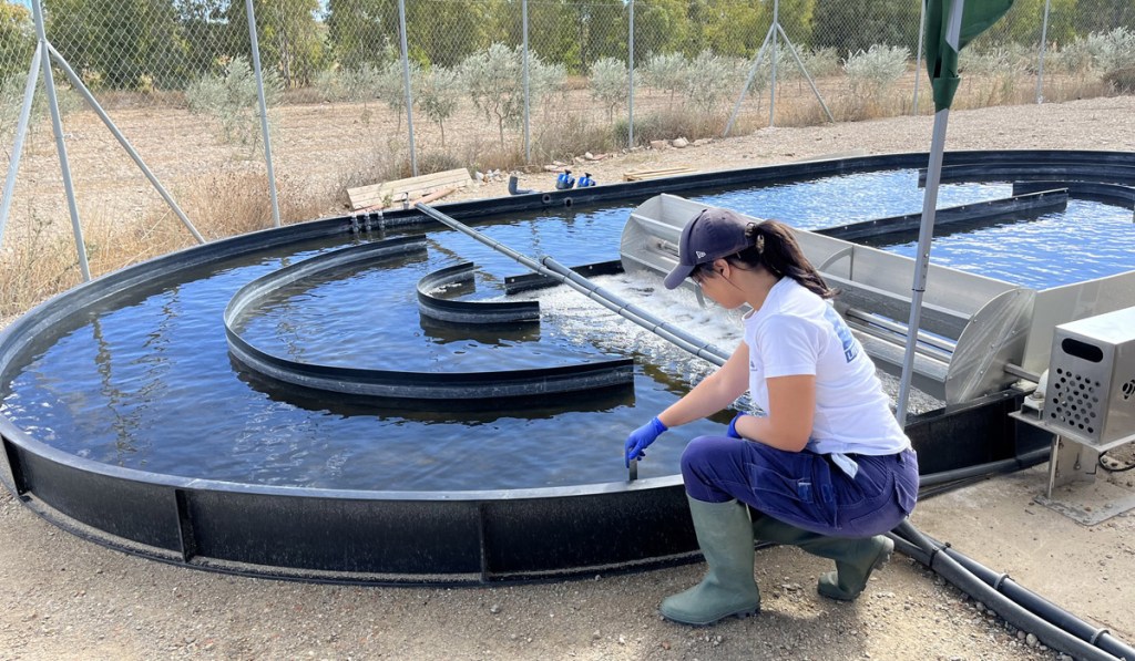 ANUKIS: regenerar agua con energía&nbsp;solar