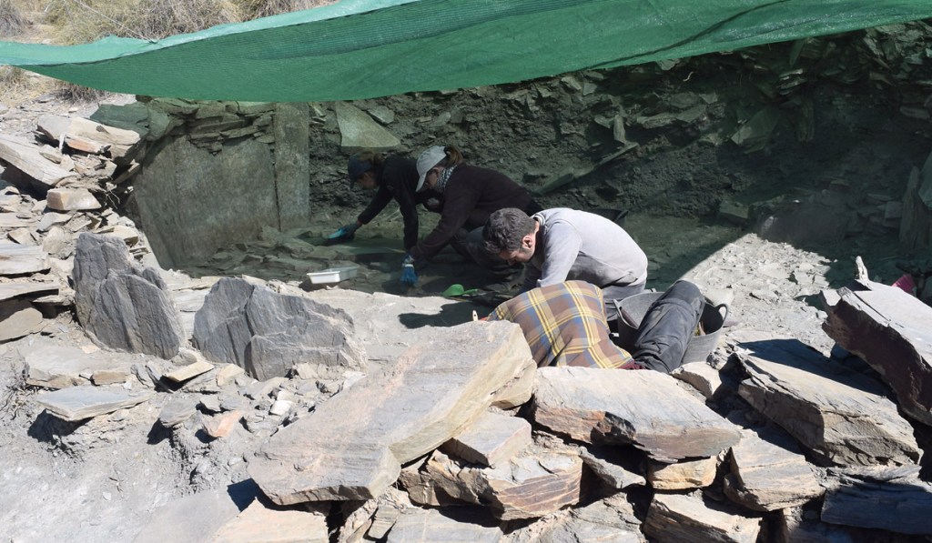 La arqueología se reactiva en Almería