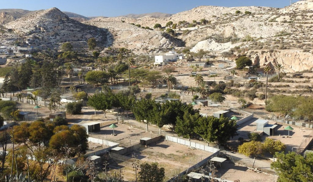 75 años desvelando los secretos del&nbsp;desierto