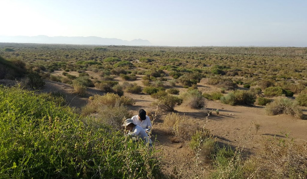 Guardianes contra el cambio&nbsp;climático