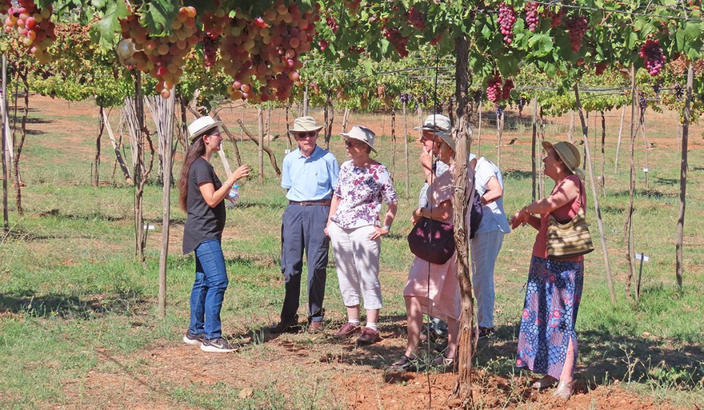 La apuesta por el&nbsp;agroturismo