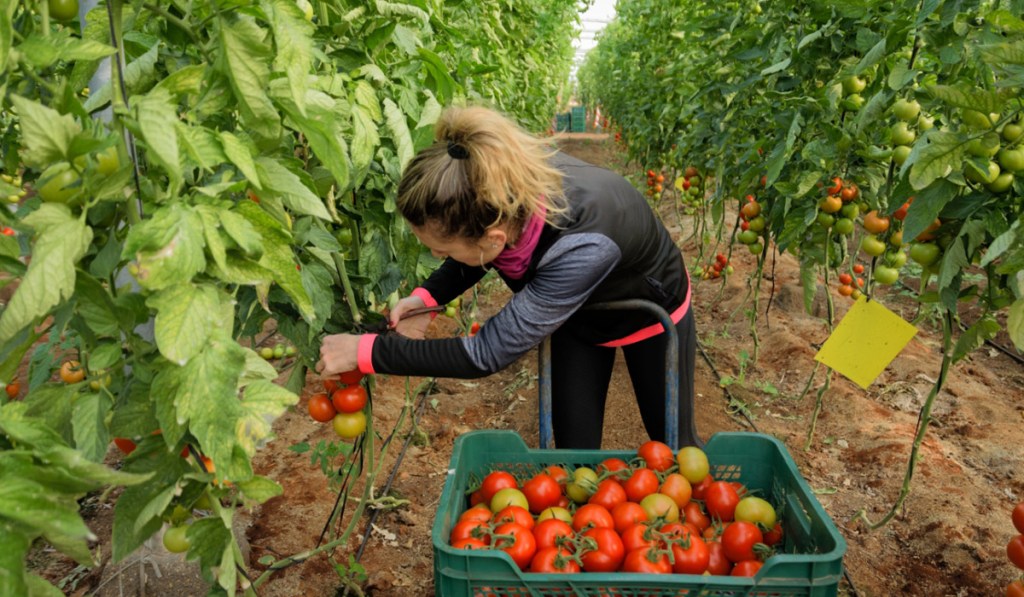 La hora de las mujeres del&nbsp;campo