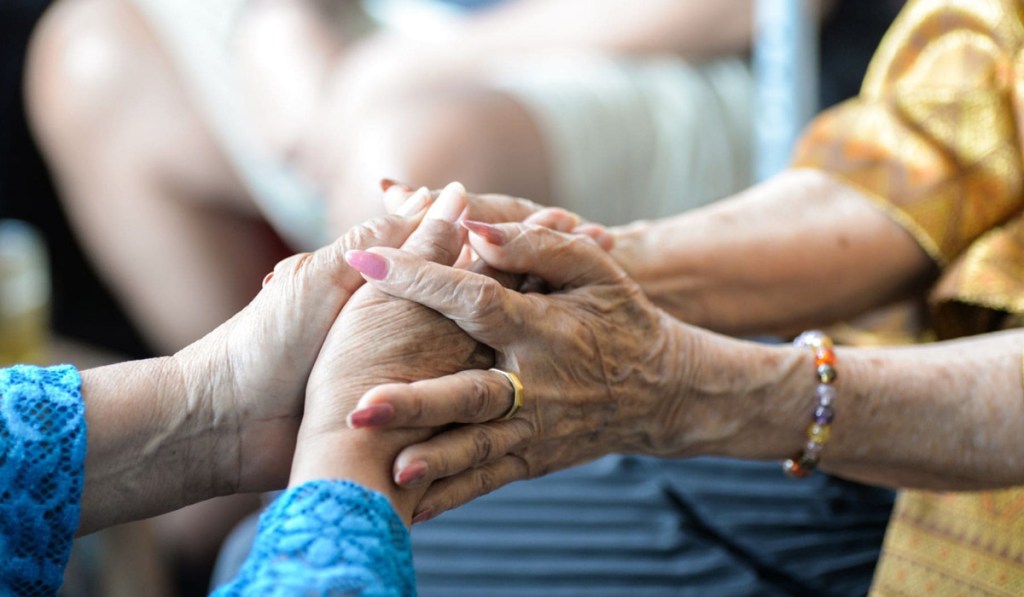 La ayuda a la dependencia, en peligro