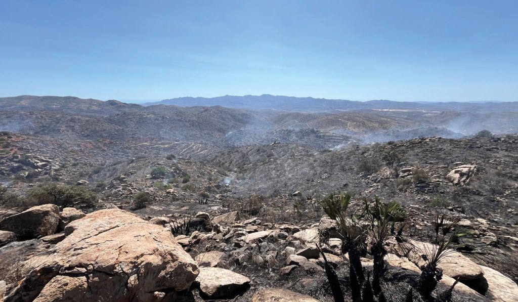 El monte en&nbsp;llamas
