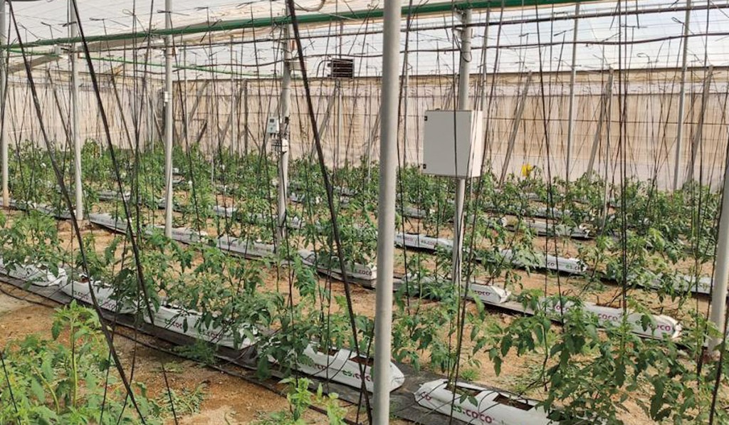 Agricultura en la era de la inteligencia&nbsp;artificial