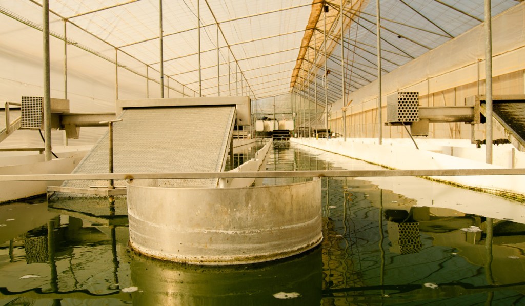 Agua regenerada: el futuro de la&nbsp;agricultura